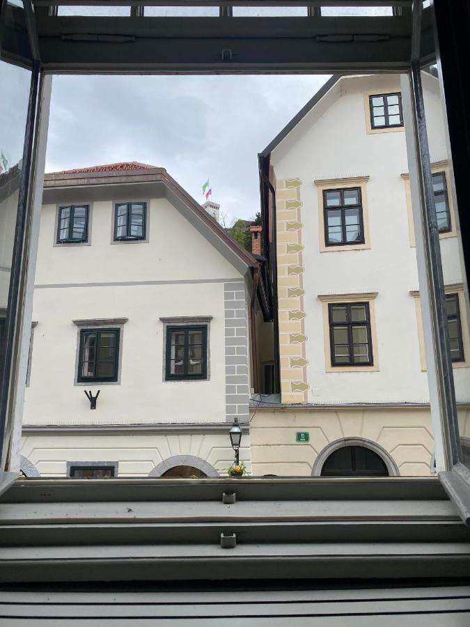 Vintage Charm Apartment Ljubljana Bagian luar foto